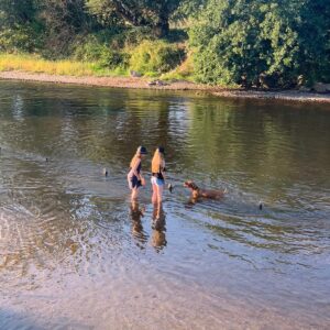 Abendrunde im Sommer - FMD