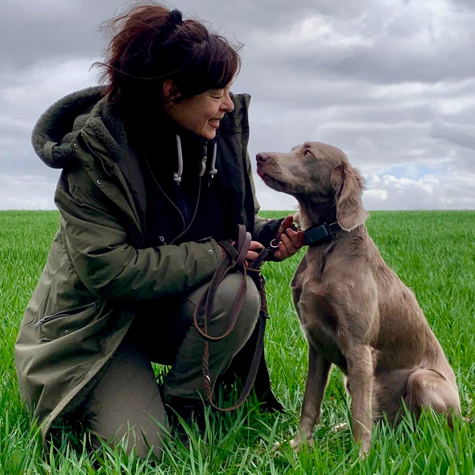 VJP 2025 Rezension FMD